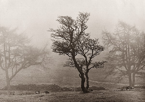 CWMYSTWYTH, Ceredigion 1991 - THE WELSH LANDSCAPE - MOSTLY IN CEREDIGION