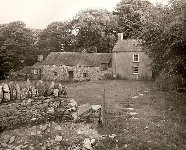 LLWYN-LL-WYD, Ceredigion 2010 - CEREDIGION FARMS & COTTAGES
