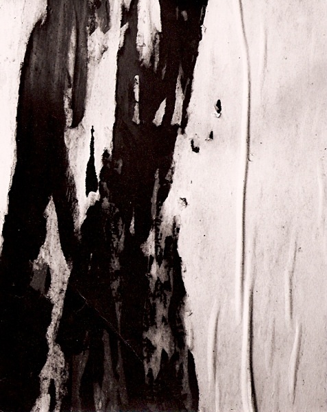 WALL, Nottingham 1997 - ABSTRACTIONS