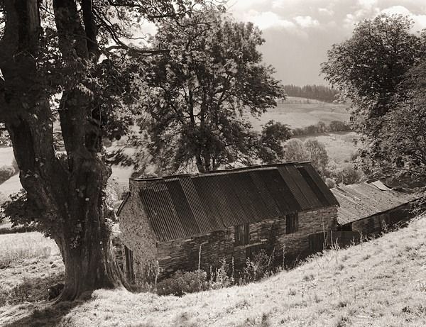 HEN GEFN, Llangunllo, Radnorshire 2012 - RADNORSHIRE
