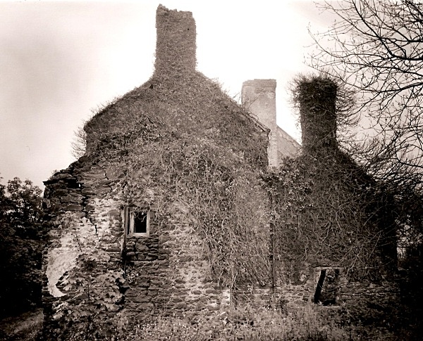 BUTTERHILL, St Ishmael's, Pembrokeshire