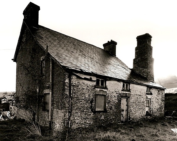 BEUDIAU, Lampeter, Ceredigion 2009