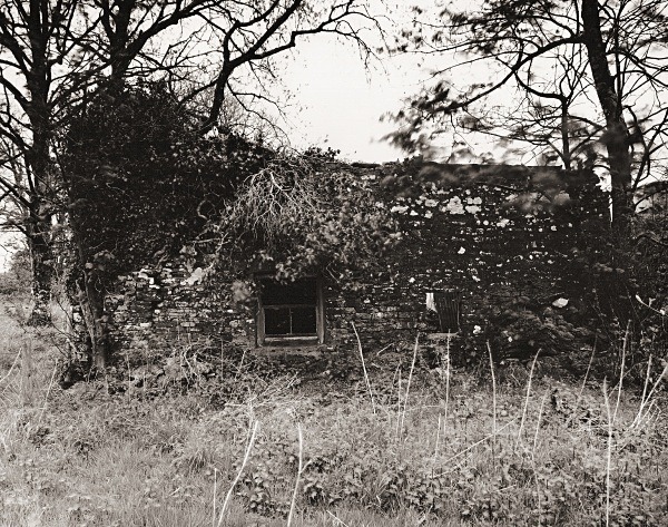 YNYS-FELEN, Llanfihangel Ystrad, Ceredigion 2015 - CEREDIGION FARMS & COTTAGES