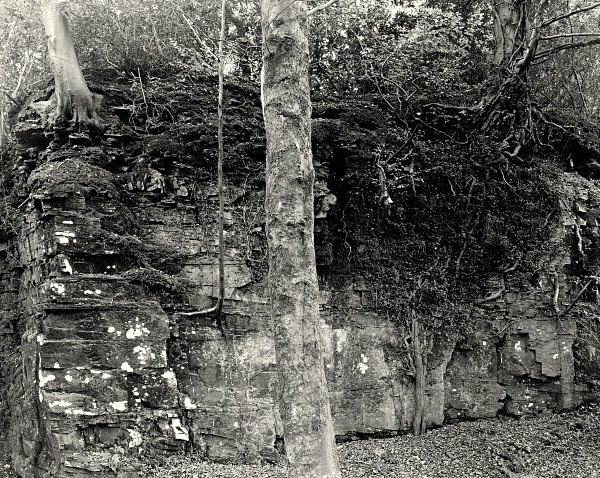 PENLLERGAER MANSION GARDENS, Swansea 2016 - THE GLAMORGANS