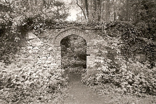 YNYSYMAENGWYN, Tywyn, Merioneth 2000