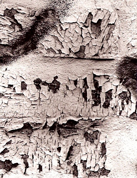 PEELING PAINT, Brighton, East Sussex 2010 - ABSTRACTIONS