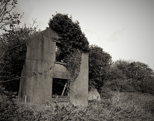 PENLLERGAER MANSION GARDENS, Swansea 2016 - 2018 - THE GLAMORGANS