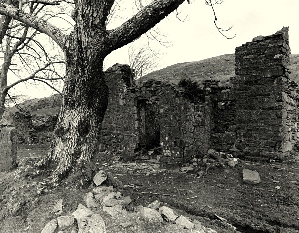 BWLCHYSTYLLEN, Nant-y-moch, Ceredigion 2016 - CEREDIGION FARMS & COTTAGES
