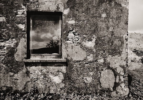 NANT RHYS, Radnorshire 2000/2001 - RADNORSHIRE