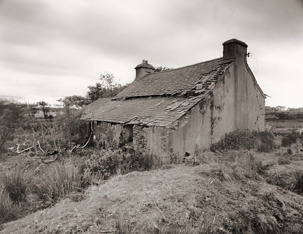 BURY LODGE, Trefenter, Ceredigion 2015 - CEREDIGION FARMS & COTTAGES