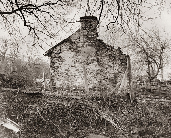 CWRT & GLYN COTTAGES, Llanon, Ceredigion 2015 - CEREDIGION FARMS & COTTAGES