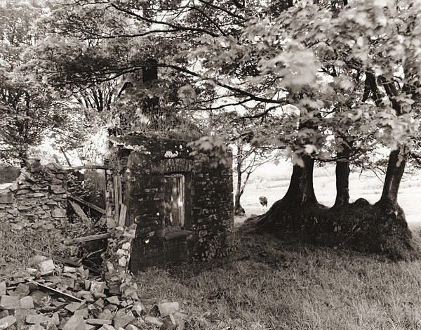 BLAEN-EINON, Mydroilyn, Ceredigion 2014 - CEREDIGION FARMS & COTTAGES