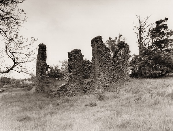 CLYN GLAS, Alltwalis, Carmarthenshire 2014 - CARMARTHENSHIRE