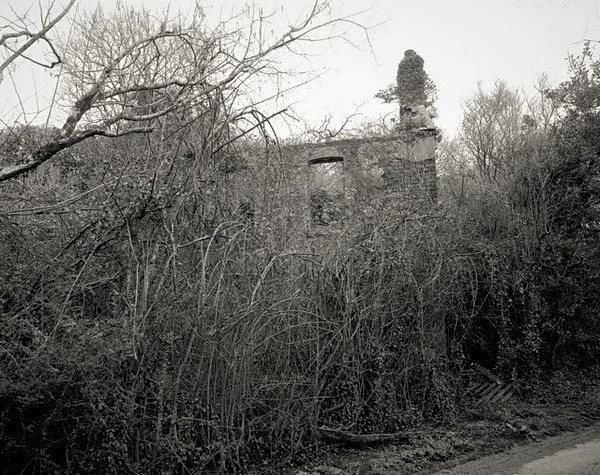 PANT-GLAS, Bynea, Llanelli 2021 - CARMARTHENSHIRE