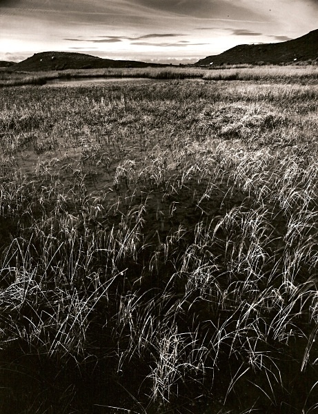 TEIFI POOLS, Ffair-rhos, Ceredigion 1993 - THE WELSH LANDSCAPE - MOSTLY IN CEREDIGION
