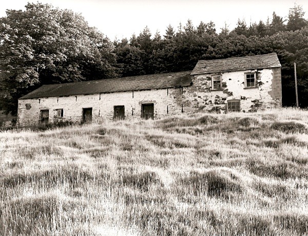 CWMNEWYDION-CANOL, (outbuilding? Longhouse?), Ceredigion 2010 - CEREDIGION FARMS & COTTAGES