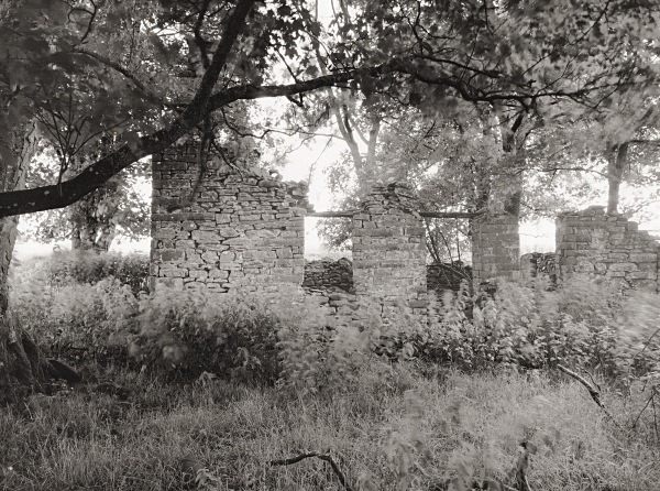 MAESLLYDAN, Llwynpiod, Ceredigion 2015 - CEREDIGION FARMS & COTTAGES