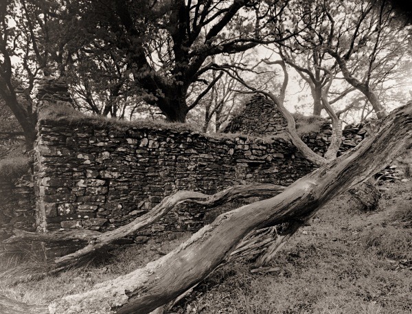 TY-UNNOS, Rhos-gelli-gron common, Pontrhydyfendigaid, Ceredigion 2015 - CEREDIGION FARMS & COTTAGES