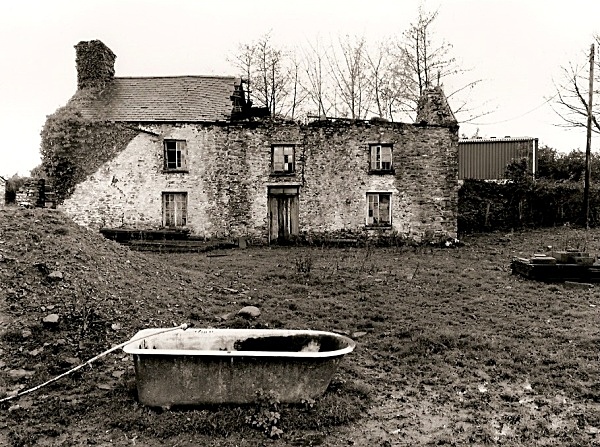 DERI ODWYN, Llwynpiod, Near Tregaron, Ceredigion 2009