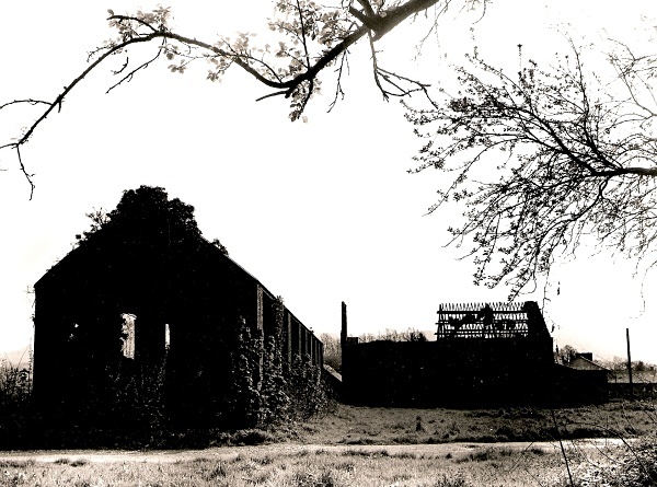 LLEWENI STABLES & COACH HOUSE, Henllan, Denbighshire 2005 - DENBIGHSHIRE