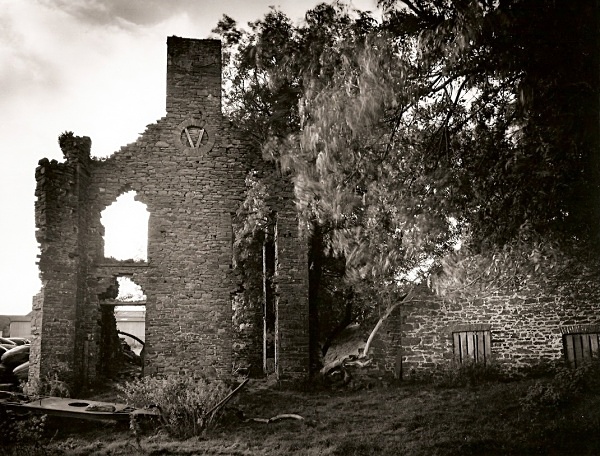 LLWYNYWORMWOOD, Myddfai, Carmarthenshire