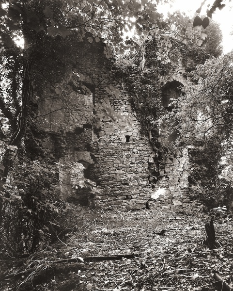 OLD BOULSTON MANOR, Uzmaston, Pembrokeshire 2011 - PEMBROKESHIRE