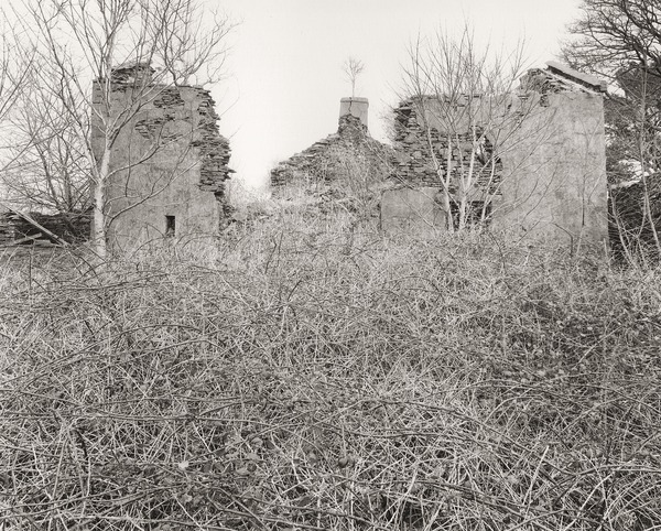 GELLI-GALED, Crynant, West Glamorgan 2012 - THE GLAMORGANS