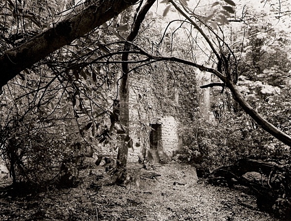 LLANSTINAN HOUSE, LLANSTINAN, PEMBROKESHIRE 2009