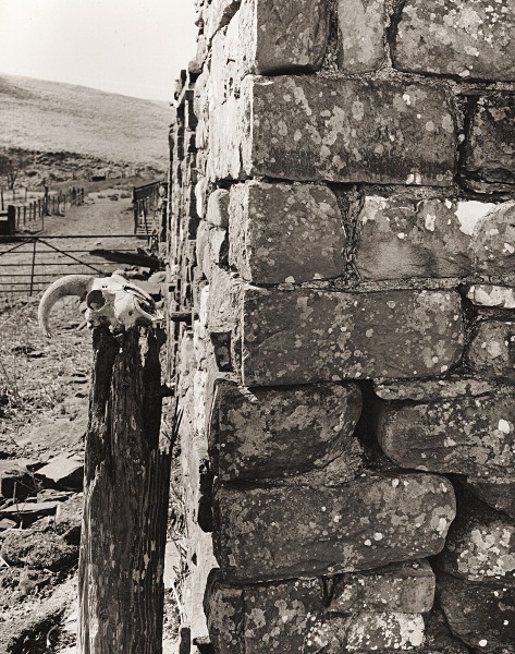 LLUEST ABERCEITHON, Elan Valley, Radnorshire 2015 - RADNORSHIRE
