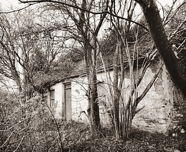 CANADA, Stag’s Head, Ceredigion 2014 - CEREDIGION FARMS & COTTAGES