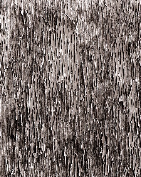 ABSTRACTION, Hove, East Sussex 2008 - ABSTRACTIONS