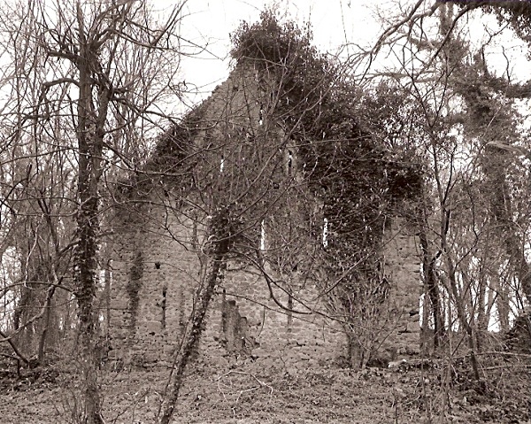 SYSTERNE / SISTER'S HOUSE, Minwear Forest, Canaston, Pembrokeshire 2009