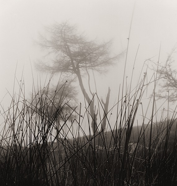 CWMYSTWYTH, Ceredigion 1990 - THE WELSH LANDSCAPE - MOSTLY IN CEREDIGION