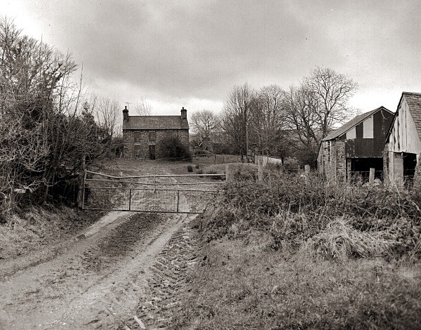 BRECHFA FAWR, Llangeitho, Ceredigion 2016 - CEREDIGION FARMS & COTTAGES