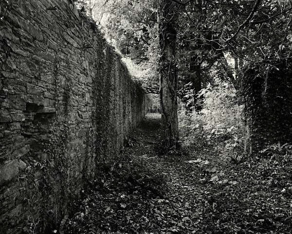 PENLLERGAER MANSION GARDENS, Swansea 2016 - THE GLAMORGANS