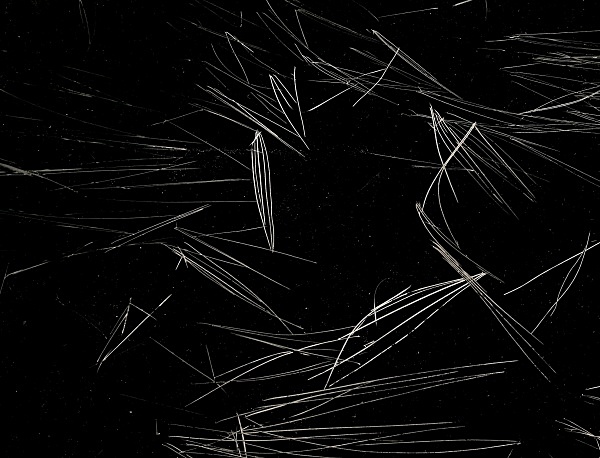 GRASSES IN LAKE AT TEIFI POOLS, Ffair Rhos, Ceredigion 1995 - THE WELSH LANDSCAPE - MOSTLY IN CEREDIGION