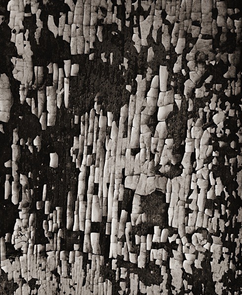 ABSTRACTION AT FFYNNON-WEN, Ciliau Aeron, Ceredigion 2015 - ABSTRACTIONS