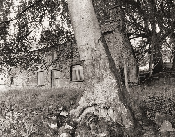 GRAIG-DDU-ISAF, Llanddewi-Brefi, Ceredigion 2014 - CEREDIGION FARMS & COTTAGES