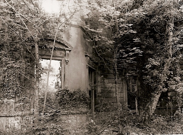 BARON HILL, Beaumaris, Anglesey 2008