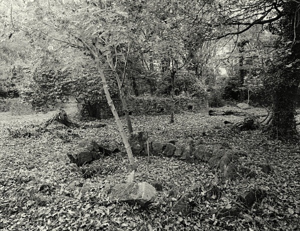 PENLLERGAER MANSION GARDENS, Swansea 2016 - THE GLAMORGANS