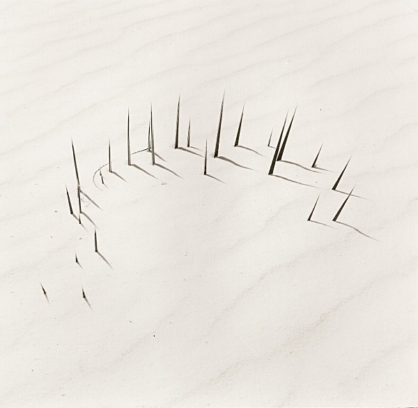 WHITE SAND DUNES, New Mexico 1998 - MISCELLANEOUS