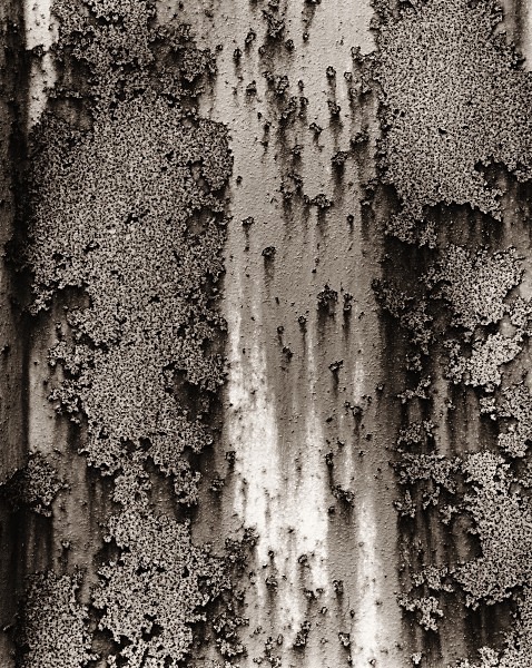 ABSTRACTION, Alltwalis, Carmarthenshire 2014 - ABSTRACTIONS