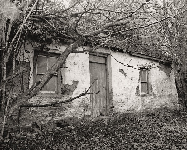 CANADA, Stag’s Head, Ceredigion 2014 - CEREDIGION FARMS & COTTAGES