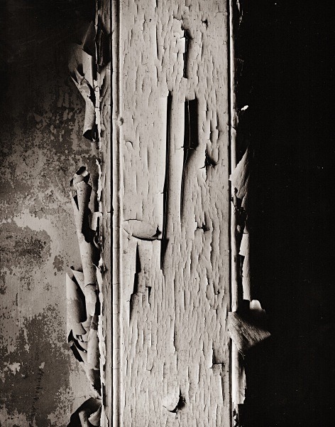 ABSTRACTION, Henllan, Ceredigion 2015 - ABSTRACTIONS