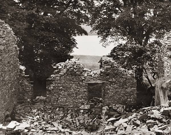 GLAN-LLYN, Trefenter, Ceredigion 2014 - CEREDIGION FARMS & COTTAGES