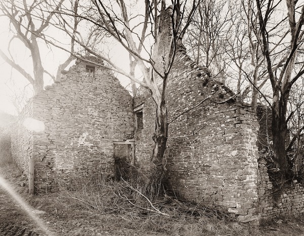 Danywern, Glanusk Estate, Crickhowell, Brecknock 2012 - BRECKNOCKSHIRE