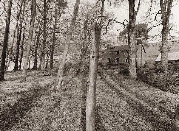 PRIGNANT UCHAF, Ceredigion 2015 - CEREDIGION FARMS & COTTAGES