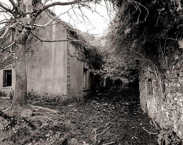 MAES GWENLLIAN, Mynydd Garreg, Carmarthenshire 2014 - CARMARTHENSHIRE