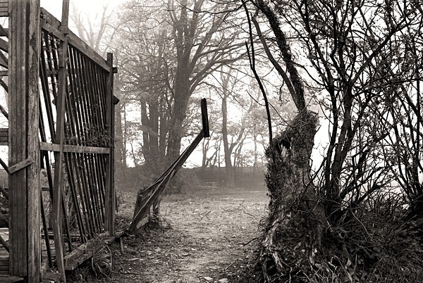 POST BACH, Synod Inn, Ceredigion 2014 - CEREDIGION FARMS & COTTAGES