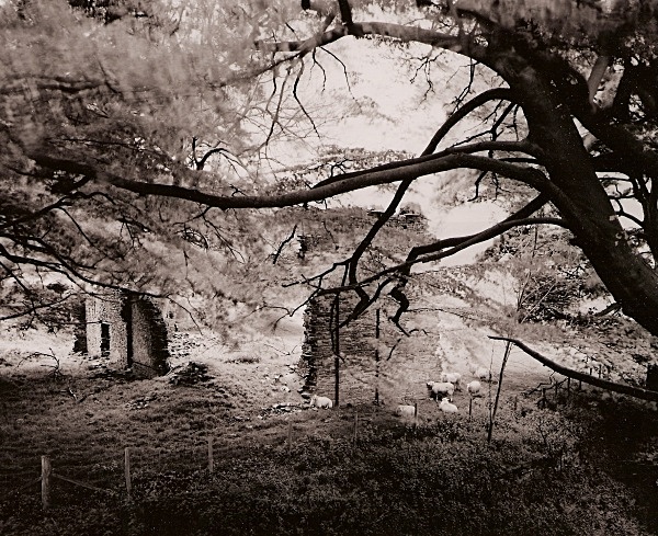 Y SIARPAL, Llanthony, Monmouthshire 2005